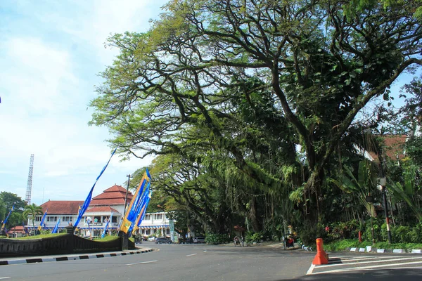 以马来西亚巴拉科塔政府办公大楼为背景的空旷街道和绿树 — 图库照片