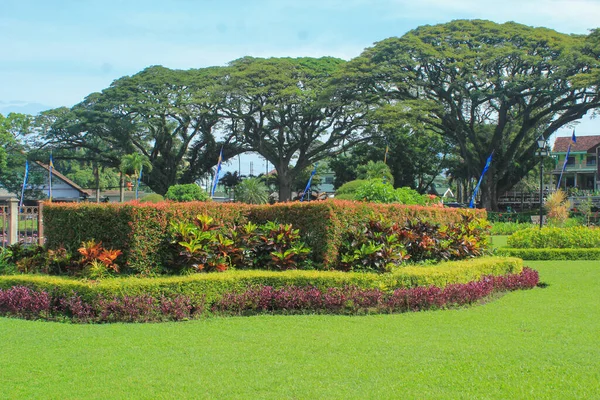 Jardim Com Arbusto Aparado Gramado Verde Com Fundo Árvores Grandes — Fotografia de Stock