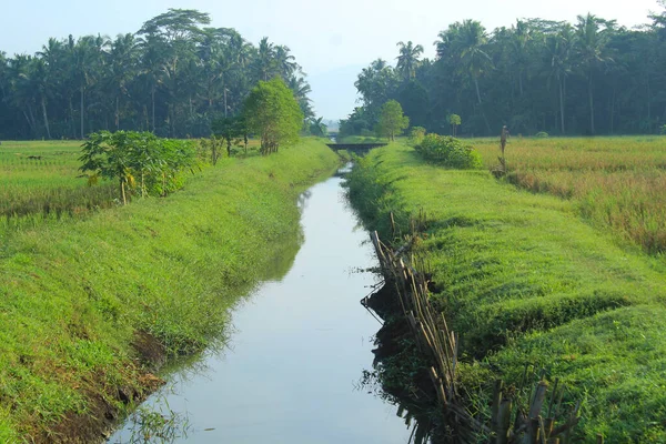 water irrigation canal along of the farmland with tropical forest and blue sky background