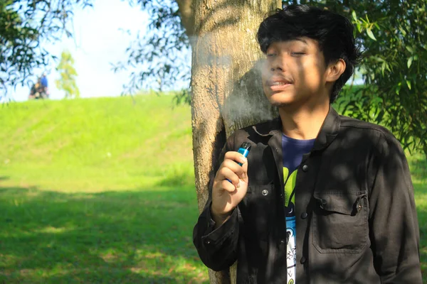 リラックスした若いアジアの男は 木や牧草地の背景と雲や霧を生成する翼のポッドシステムを吹いている 黒のジャケットを着た若い男が煙の代わりに電子タバコを楽しんでいます — ストック写真