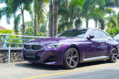 Açık hava otoparkında palmiye arkaplan ve mor renkli Sedan BMW arabasının ön görüntüsü
