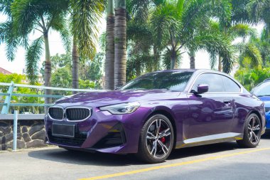 Açık hava otoparkında palmiye arkaplan ve mor renkli Sedan BMW arabasının ön görüntüsü