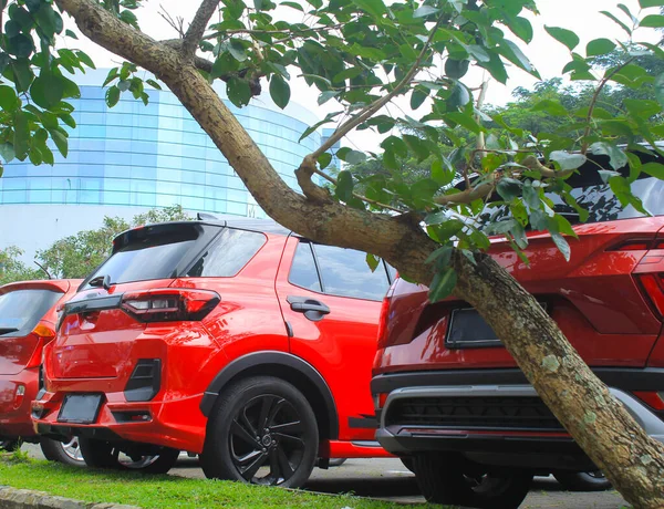 Carros Vermelhos Suv Estacionam Uma Fileira Sob Árvores Verdes Folha — Fotografia de Stock