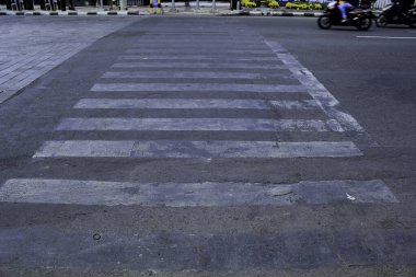 Zebra motosikletle çapraz