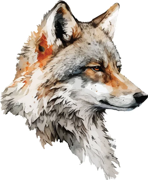 Farbiger Wolf Vektor Druck Illustration — Stockvektor