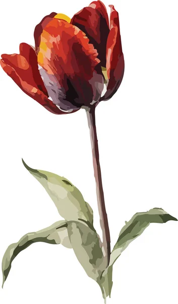 Kolorowe Tulipany Wektor Drukuj Ilustracja — Wektor stockowy
