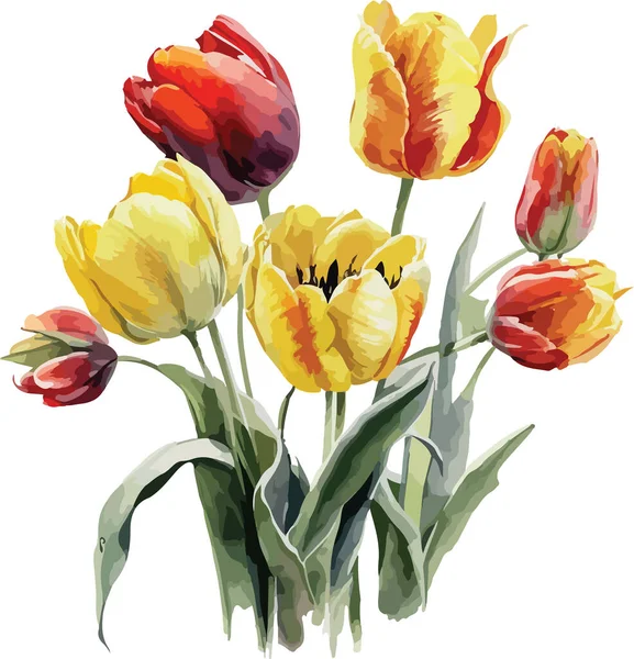 Tulipanes Colores Vector Imprimir Ilustración — Archivo Imágenes Vectoriales
