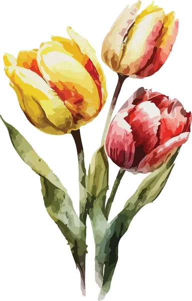 Tulipes Colorées Vecteur Impression Illustration — Image vectorielle