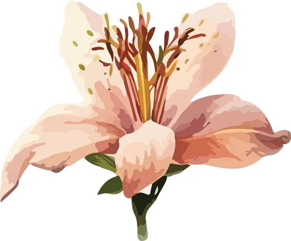 Färgad Blomma Vektor Tryck Illustration — Stock vektor
