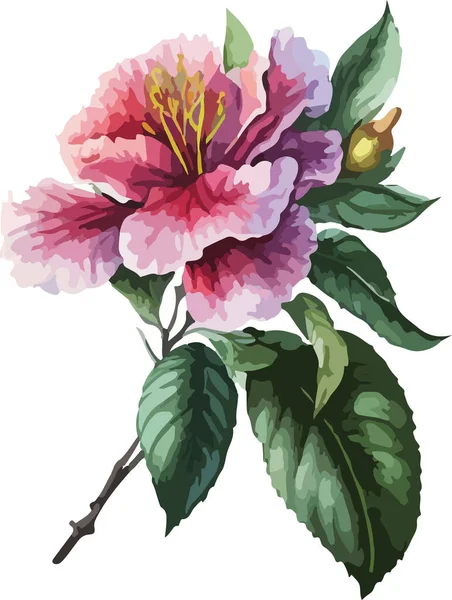 Flor Colorida Vetor Impressão Ilustração — Vetor de Stock
