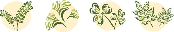 植物的一组不同的抽象叶子 在米色背景上以圆形形式出现的几个矢量图像 — 图库矢量图片