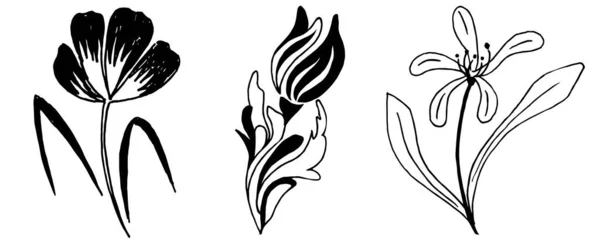 Zestaw Pięknych Kwiatów Stylu Tatuażu Dekoracji Wizerunek Wektora — Wektor stockowy