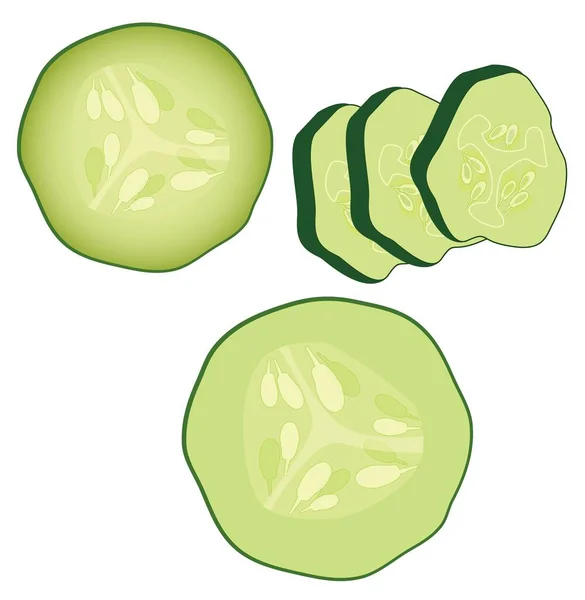 Tranches Concombre Vecteur Vert Frais Sur Fond Blanc — Image vectorielle