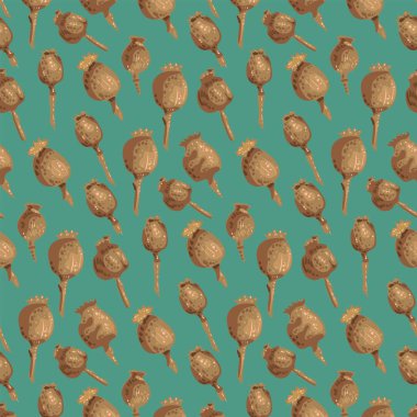 Turkuaz arka planda tohumları olan bej-kahverengi haşhaş kabukları. Kurumuş çiçeklerin çiçek deseni. Paketleme, tekstil, giysi, kumaş, ambalaj kağıdı, dekorasyon için vektör arkaplan