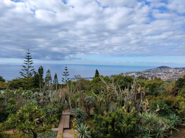 Madeira Botanik Bahçesinden Görünüm