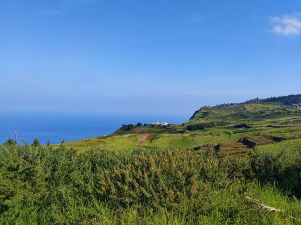 Fanal Madeira Bulutların Üzerinde — Stok fotoğraf