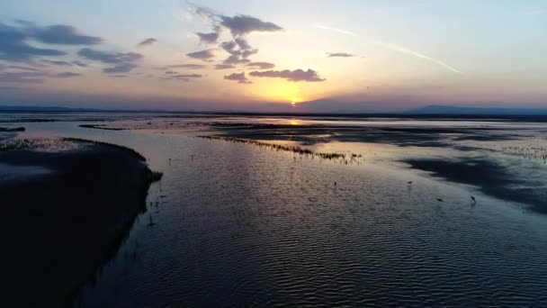 渡り鳥と湿地広大な砂漠で美しい夕日や日の出 — ストック動画