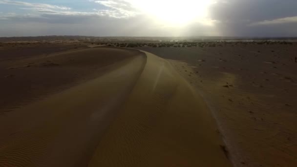 Piękne Wydmy Atrakcyjnej Pustyni Latanie Dronem Piaskowych Wzgórzach — Wideo stockowe
