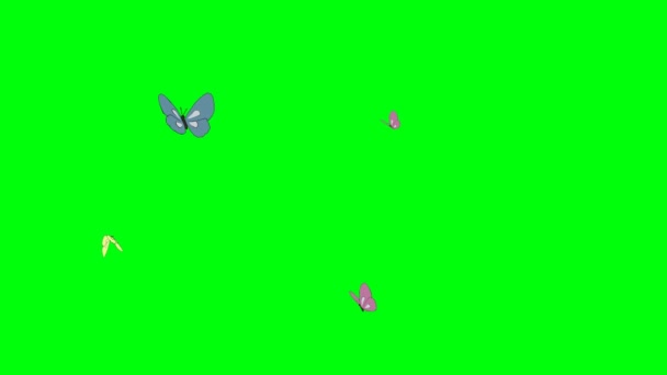 Quattro Personaggi Farfalla Che Volano Girano Chiave Cromatica — Video Stock