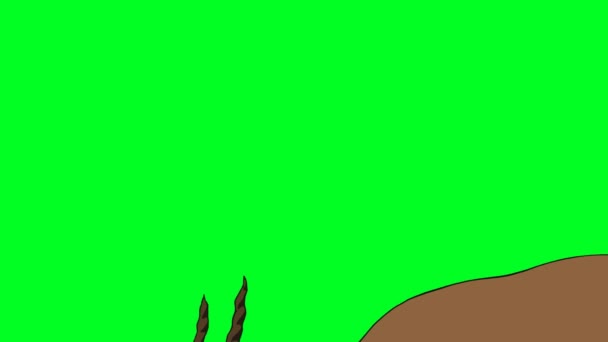 Carácter Ciervo Hermoso Que Está Pastando Masticando Planta Pantalla Verde — Vídeos de Stock