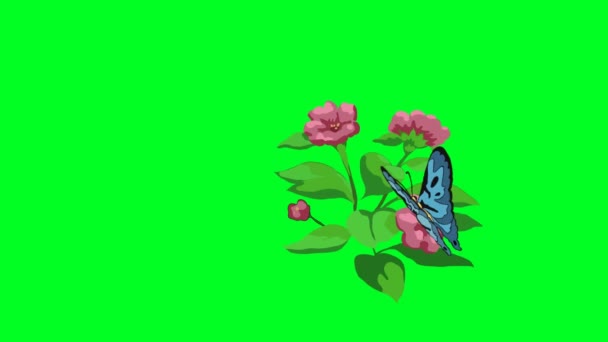 Der Langsame Schlagzyklus Eines Schmetterlings Der Auf Einer Blume Ruht — Stockvideo