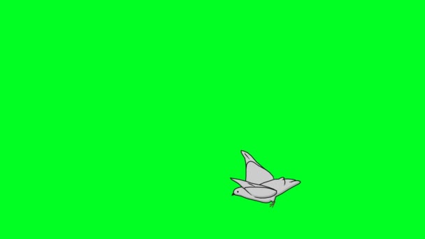 鸽子的飞行 它进入现场 降落在地面上 — 图库视频影像
