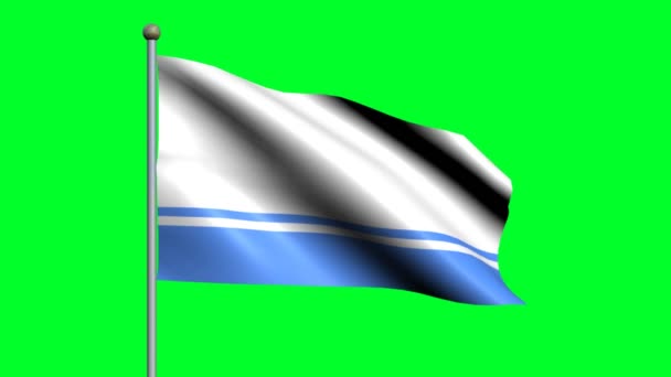 Flagge Der Republik Altai Schwenkt Animierte Flagge — Stockvideo