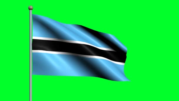 Flag Botswana Country Waving Animated Flag — Stock Video