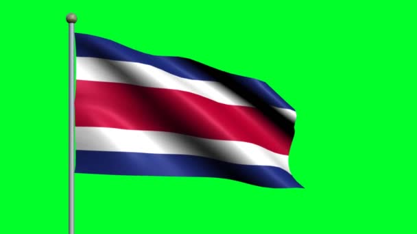 Flag Costa Rica Country Waving Animated Flag — Stock Video