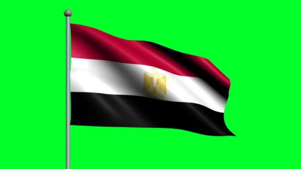 Flag Egypt Country Waving Animated Flag — Stock Video