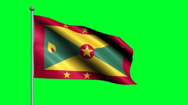 Flag Grenada Country Waving Animated Flag — Stock Video