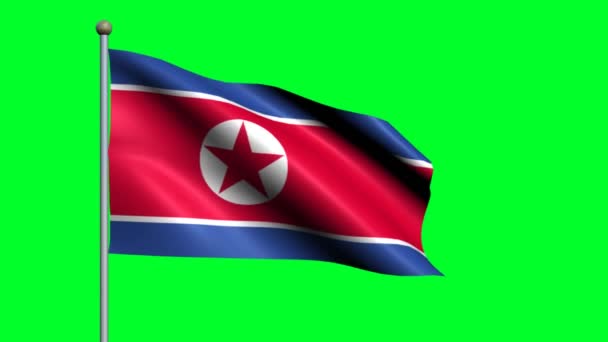 Flag Korea North Country Waving Animated Flag — Stock Video
