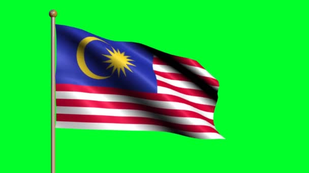 Vlag Van Maleisië Zwaaien Geanimeerde Vlag — Stockvideo