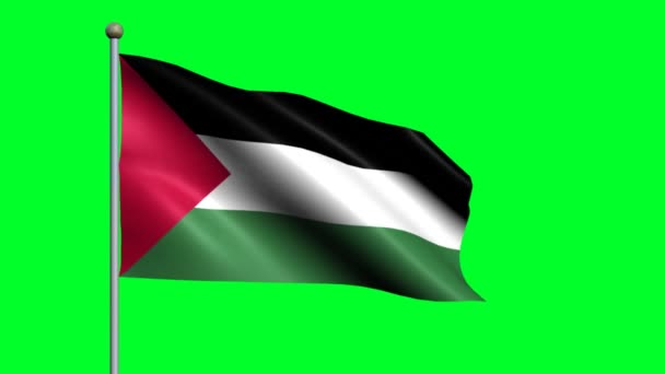 Flag Palestine Country Waving Animated Flag — Stock Video