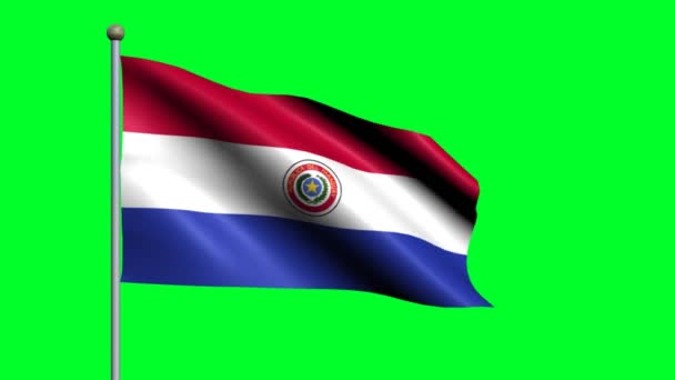 Bandeira Paraguai Acenando Bandeira Animada — Vídeo de Stock