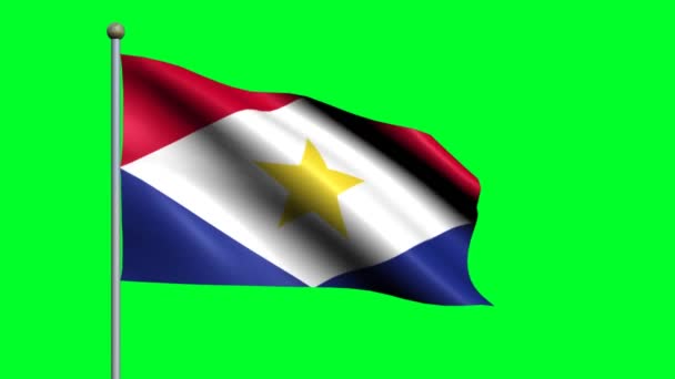 Flag Saba Country Waving Animated Flag — Stock Video