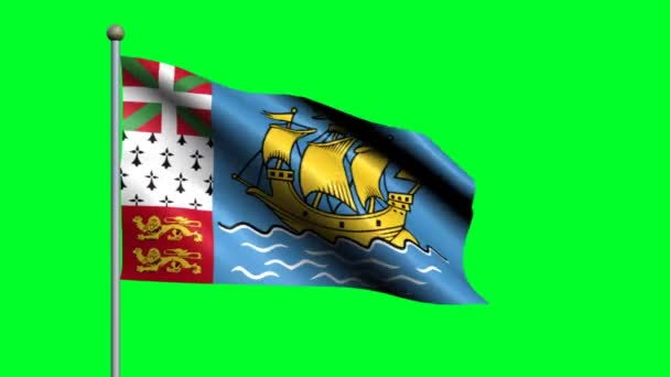 Flag Saint Pierre Miquelon Waving Animated Flag — Stock Video