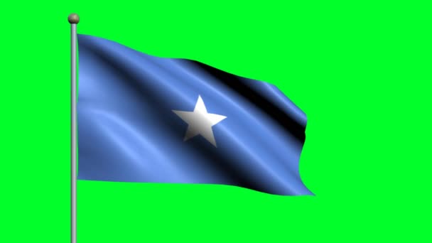 Flagge Des Landes Somalia Schwenkt Animierte Flagge — Stockvideo