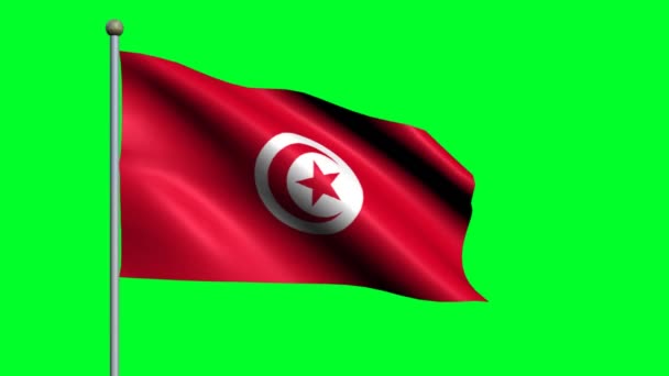 Drapeau Pays Tunisie Drapeau Animé Agitant — Video