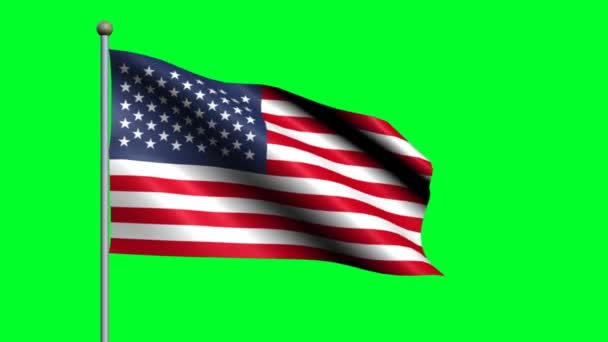 Flag United States Country Waving Animated Flag — Stock Video