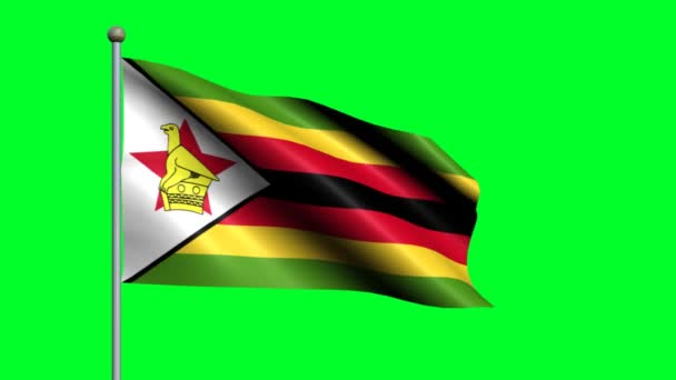 Bandera Zimbabue País Bandera Animada Ondeando — Vídeos de Stock