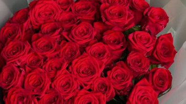 Bahçedeki güzel çiçekler