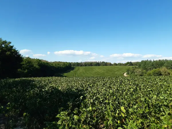 Nehir ve gölü olan güzel bir manzara.