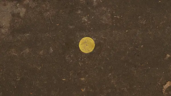 Gri arkaplanda sarı çember