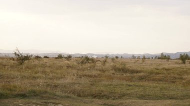 Dağlardaki ormanın güzel manzarası.