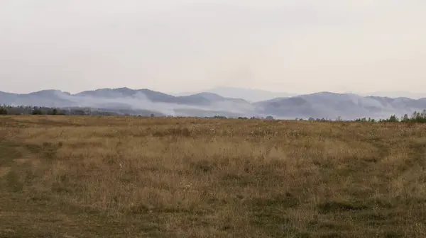 Dağlarda dağları olan güzel bir manzara.