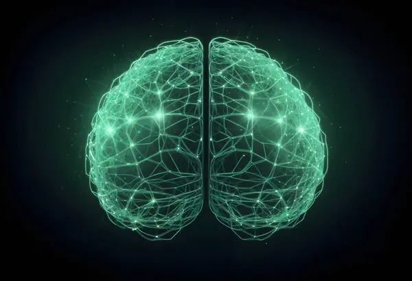 Koyu bir arkaplan karşısında insan beyninin parlayan yeşil kablo modeli, karmaşık sinirsel ağ yapısını gösteriyor. Bu görüntü nöral yolların ve beyin yapısının karmaşık ve geleceksel temsilini yakalar, çizimler için mükemmeldir.