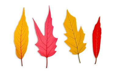 A 'dan Z' ye bir harf kolajı. Her harf çizgi romanlardan, broşürlerden ve el yazısıyla yazılmış notlardan geliyor. Harflerde pembe ve açık mavi gibi pastel renkler yer alıyor, bazı kıvrımlı kenarları ve klasik giysileri göstererek tuhaf ve burun deliklerini oluşturuyorlar.