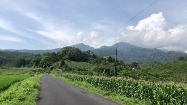 Kırsal Kesimde Sabah Atmosferi Pirinç Tarlaları Dağlar — Stok video