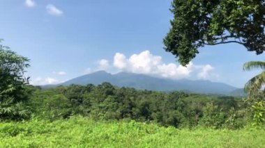 Sabah manzarası, dağlar, yeşillik, ağaçlar, yeşil çimenler